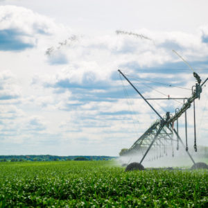 IRRIGATION DANS LE BASSIN DE L’ADOUR : LE TRIBUNAL ANNULE LES AUTORISATIONS DE PRELEVEMENTS LARGEMENT SURESTIMEES