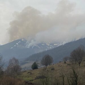 Feu pastoral illégal et non maîtrisé en Hautes-Pyrénées (Salles, 65400) : FNE Midi-Pyrénées et Hautes-Pyrénées portent plainte