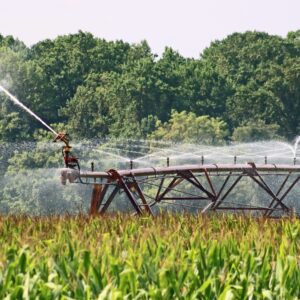 IRRIGATION DANS LE BASSIN DE L’ADOUR : LA COUR CONFIRME L’ANNULATION DES AUTORISATIONS DE PRELEVEMENTS LARGEMENT SURESTIMEES