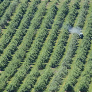Film « ON NOUS ENFUME : Agro-industrie, quand la pomme nous empoisonne la vie »