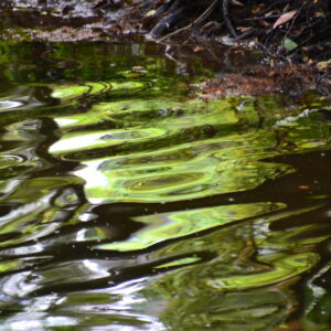 Motion du comité de bassin Adour-Garonne en faveur de la rétention naturelle de l’eau