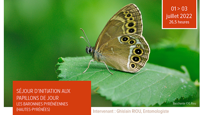 Séjour d’initiation aux papillons de jour 01 > 03 juillet 2022 Les Baronnies pyrénéennes (HAUTES-PYRÉNÉES)