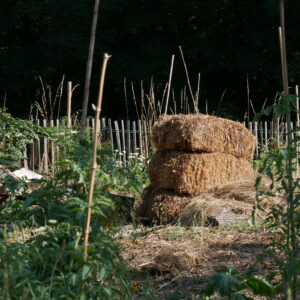 Immersion dans le jardin partagé de l'île du Ramier à Toulouse
