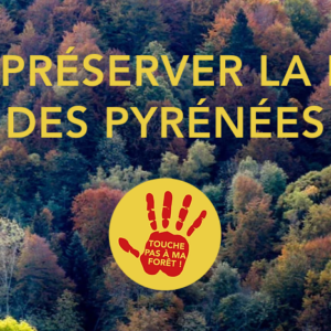 Forêt pyrénéenne - Le projet de scierie industrielle de Florian abandonné mais… Lannemezan énergie prend le relais !