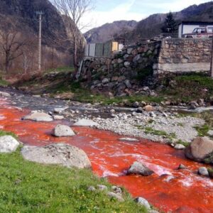 Rencontre-débat : "Quels outils pour lutter contre les atteintes à l’environnement dans sa commune ?"