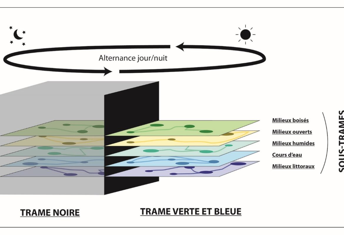 WEBINAIRE TRAME VERTE, BLEUE ET NOIRE