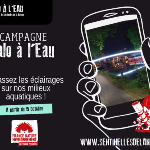 Campagne Halo à l'Eau - Webinaire de lancement