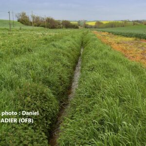 Pesticides le long des points d'eau : l'arrêté du préfet du Lot est retoqué (46)