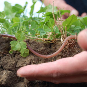 Crise agricole 2024