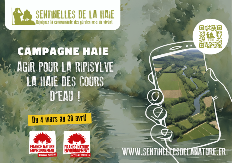 Webinaire Agir pour les ripisylves