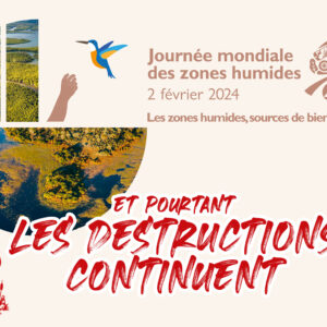 FNE Tarn-et-Garonne porte plainte contre X pour destruction de zones humides