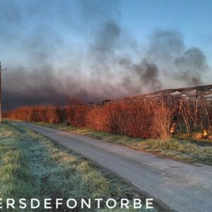 Procédures baillons : la Cour d’Appel déboute deux agro-industriels dans le Tarn