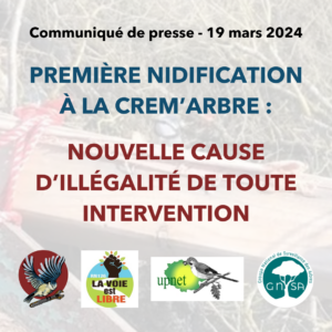 Nidification à la Crem'arbre : Nouvelle cause d'illégalité de toute intervention