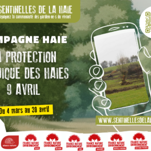 Webinaire - La protection juridique des haies