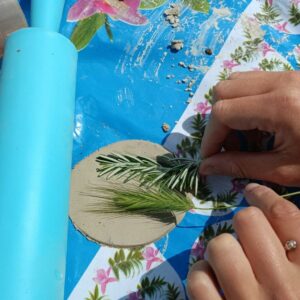 Animation Centre social de Bagatelle : la biodiversité ordinaire