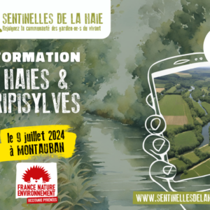 Formation sur les haies et les ripisylves