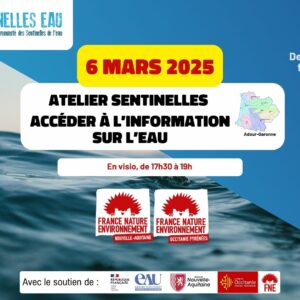 Atelier Sentinelles - Accès à l'information liée à l'eau