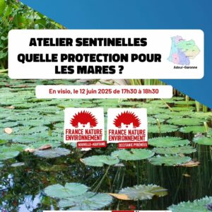 Webinaire Protection des mares