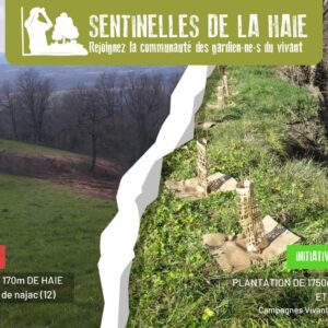 Campagne Sentinelles de la Haie 2025