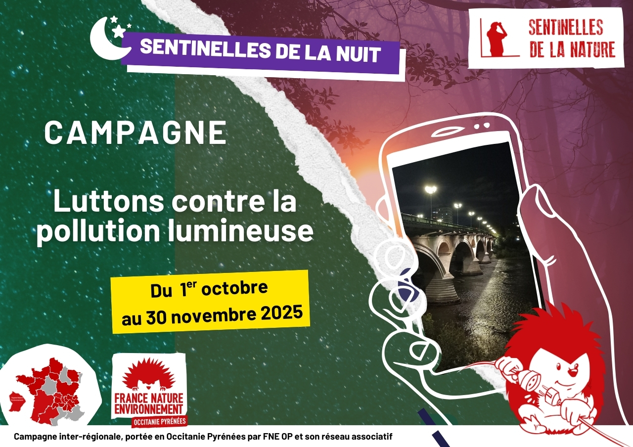 Campagne Sentinelles de la Nuit 2025