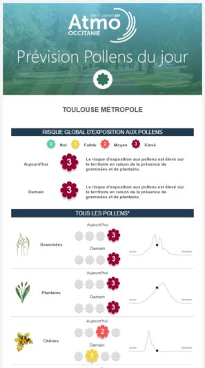 Image de la newsletter "pollen" de Atmo Occitanie