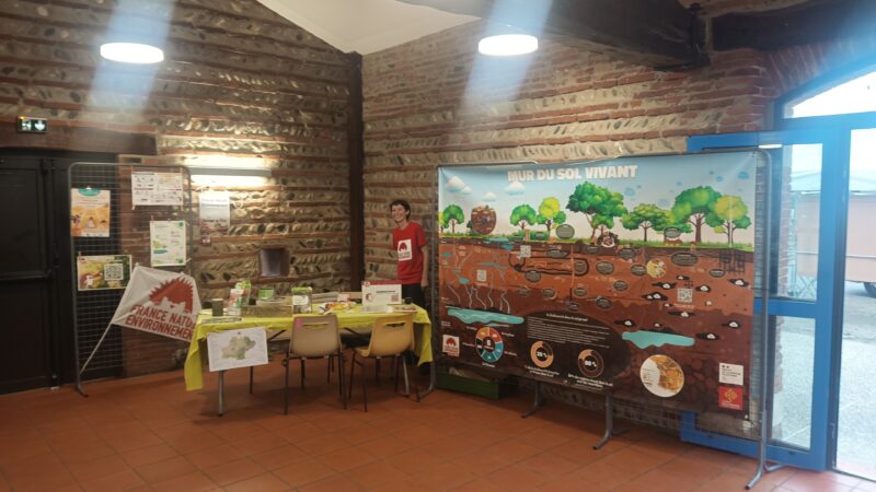 Image du stand sur "le mur du sol vivant" lors de l'événement "Nature en fête" à Ramonville (avant ouverture)