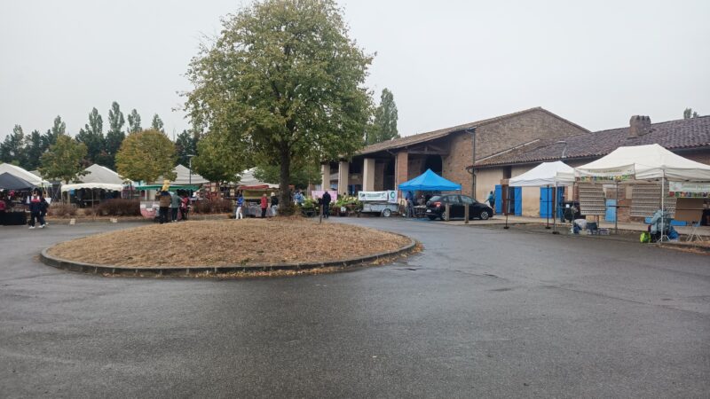 Image du stand sur "le mur du sol vivant" lors de l'événement "Nature en fête" à Ramonville (de l'extérieur)