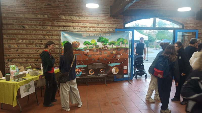 Image du stand sur "le mur du sol vivant" lors de l'événement "Nature en fête" à Ramonville (après ouverture)