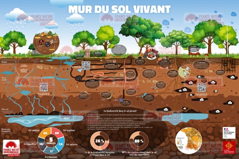 Miniature du "mur du sol vivant" de FNE Occitanie Pyrénées